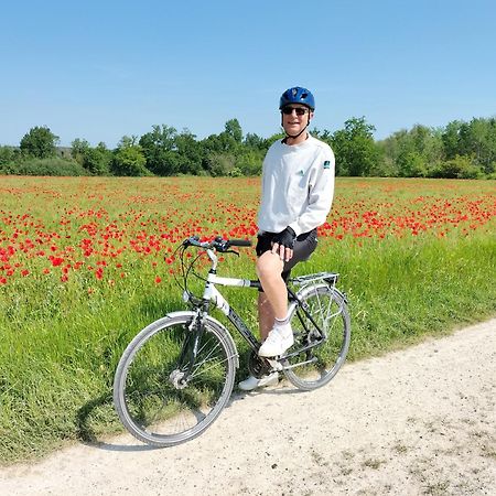 Pontavert Etape Au Chemin Des Dames - Chambre Et Table D'Hotes المظهر الخارجي الصورة